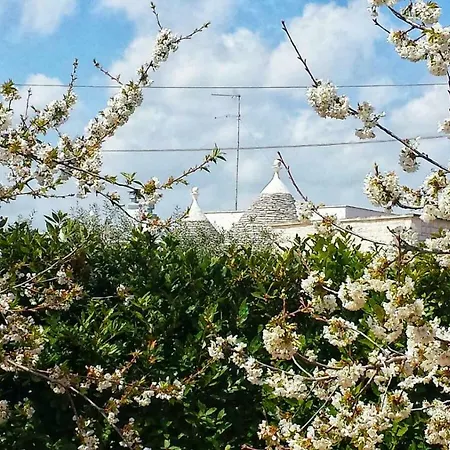 Trulli Di Rosa Dom wakacyjny Locorotondo