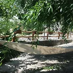 別荘 Trulli Di Rosa